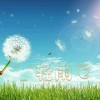 轻雨-LSPosed中文网