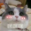 沐丿舞丶
