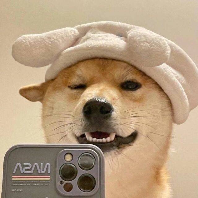qq_故人终是故人33
