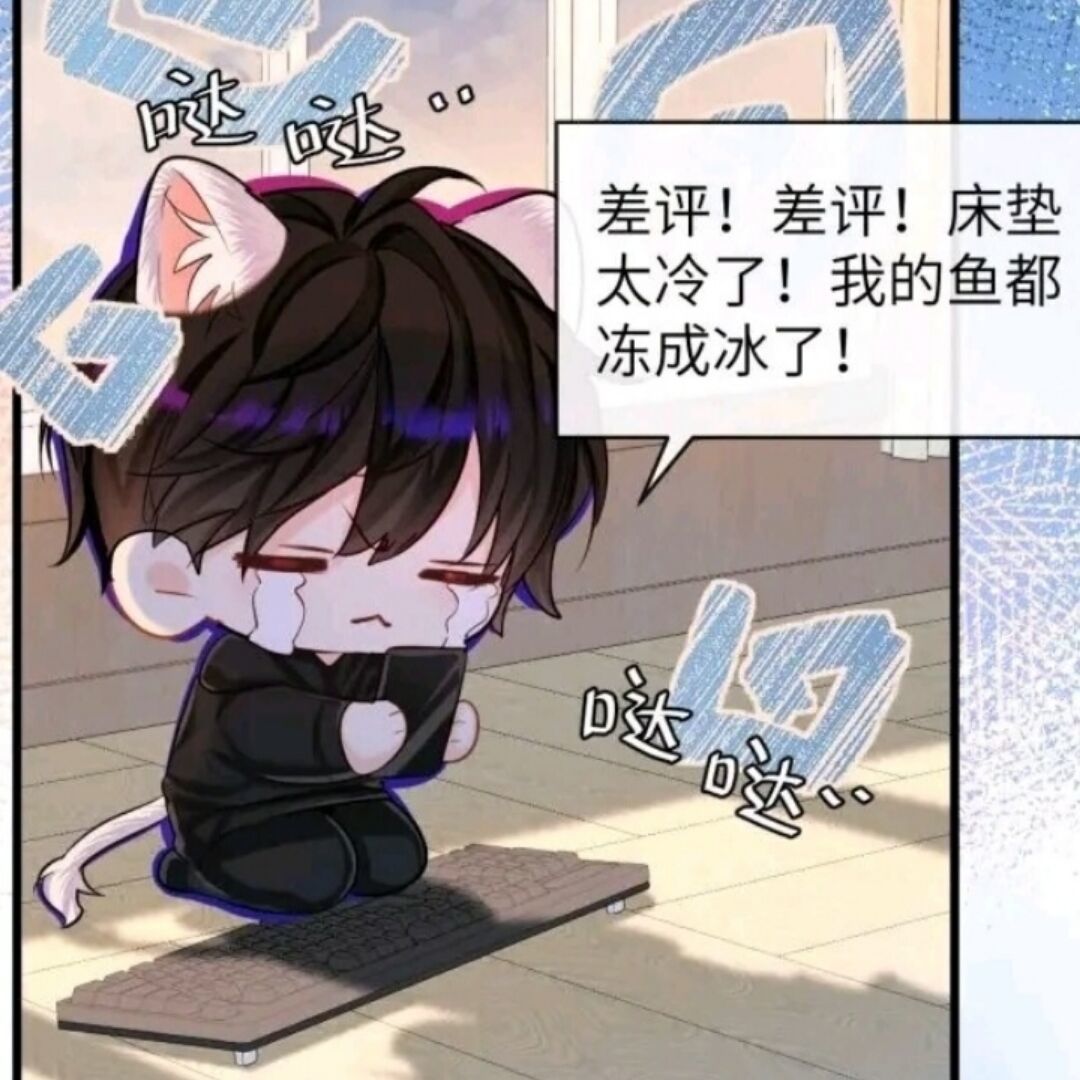 用户头像