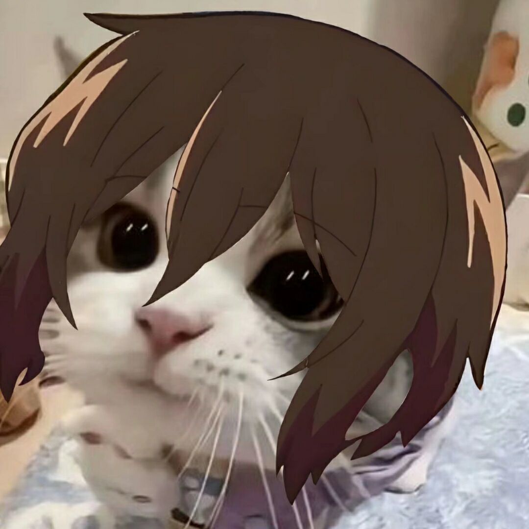 用户头像