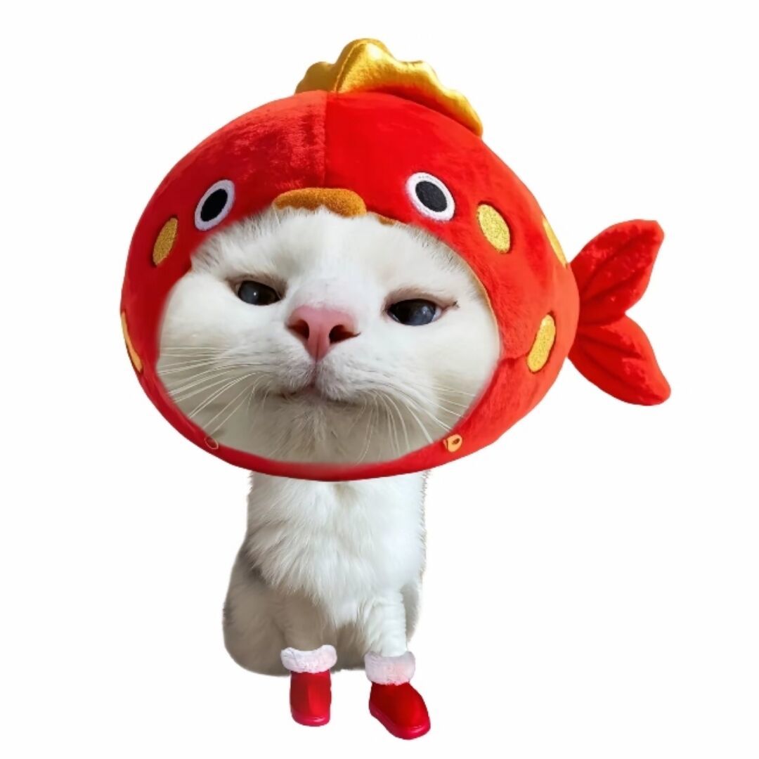 qq_左耳.53