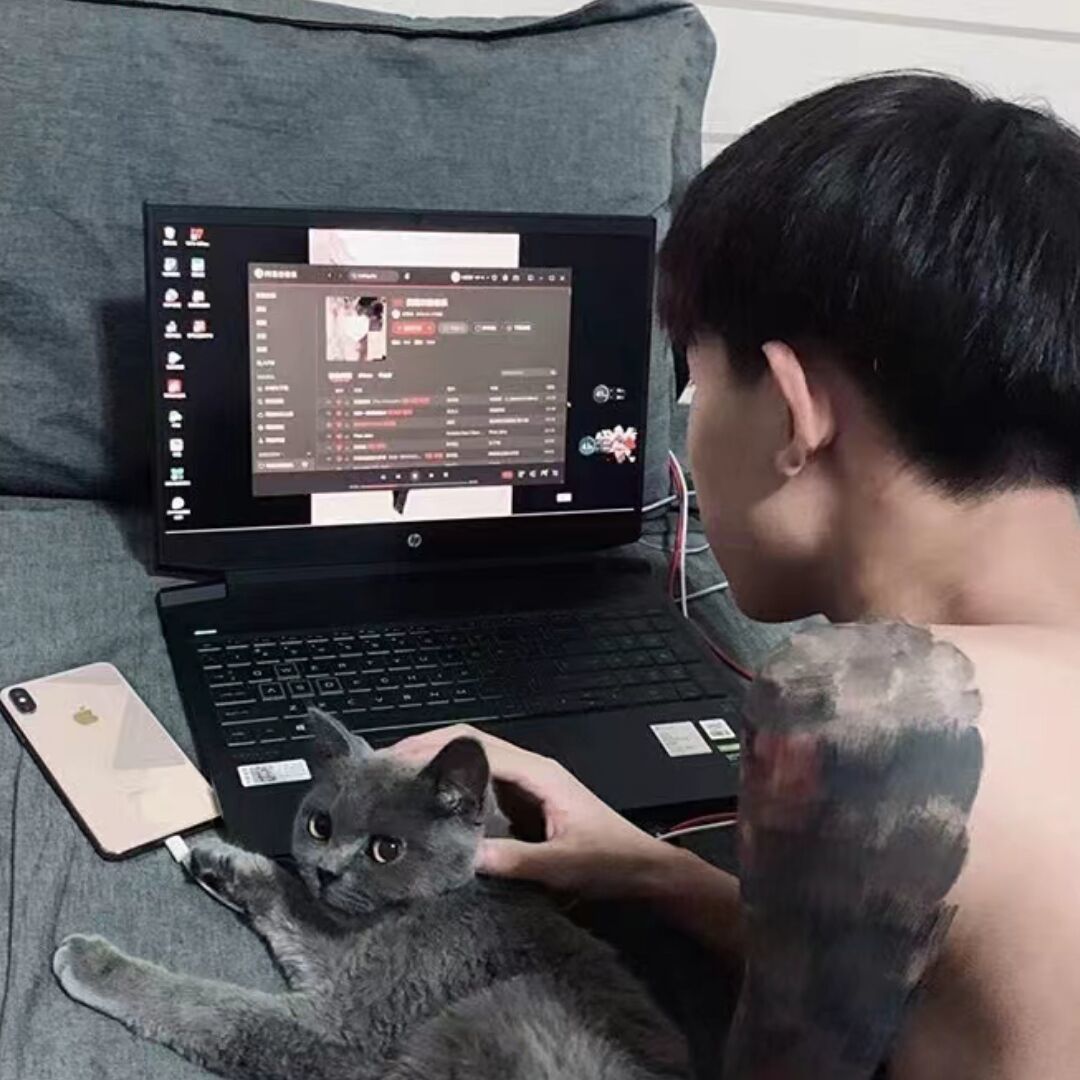 qq_サーキンフェニックス83
