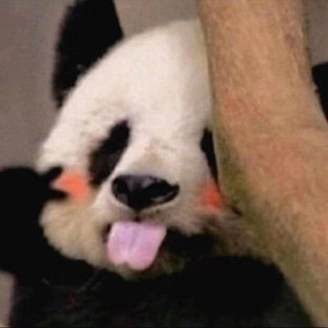 qq_无逑31