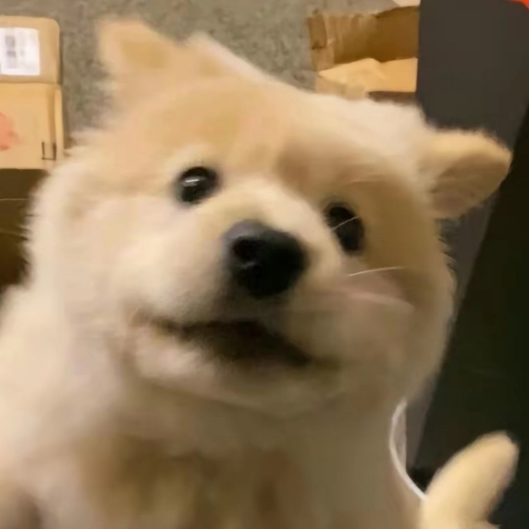 qq_讲故事82