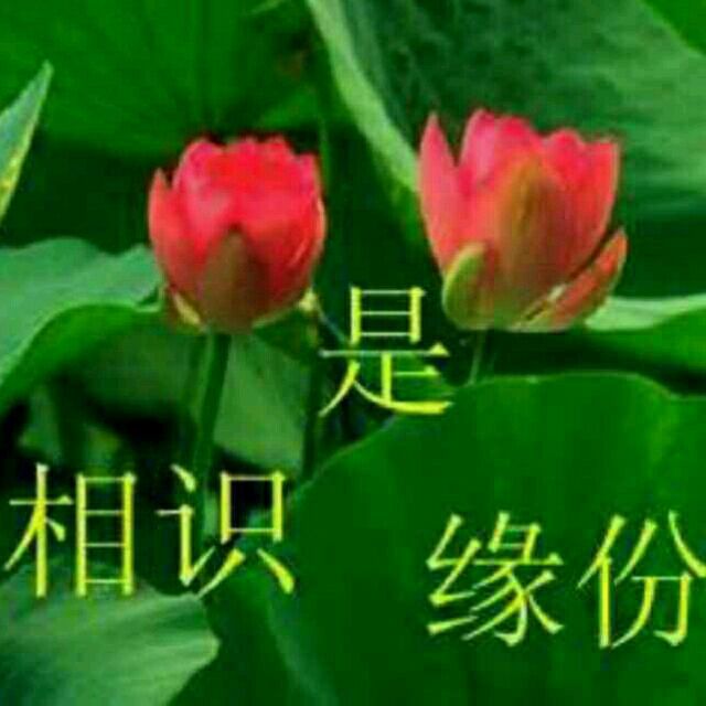 qq_空城回忆50