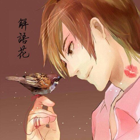 用户头像