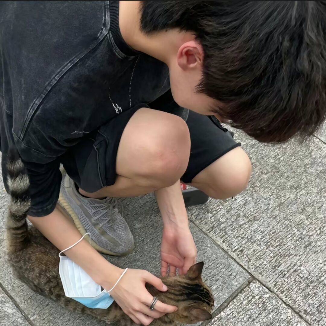 qq_wy14