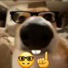 我是你叠-【TITAIKE】T太科网