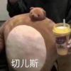 awacwc-【TITAIKE】T太科网