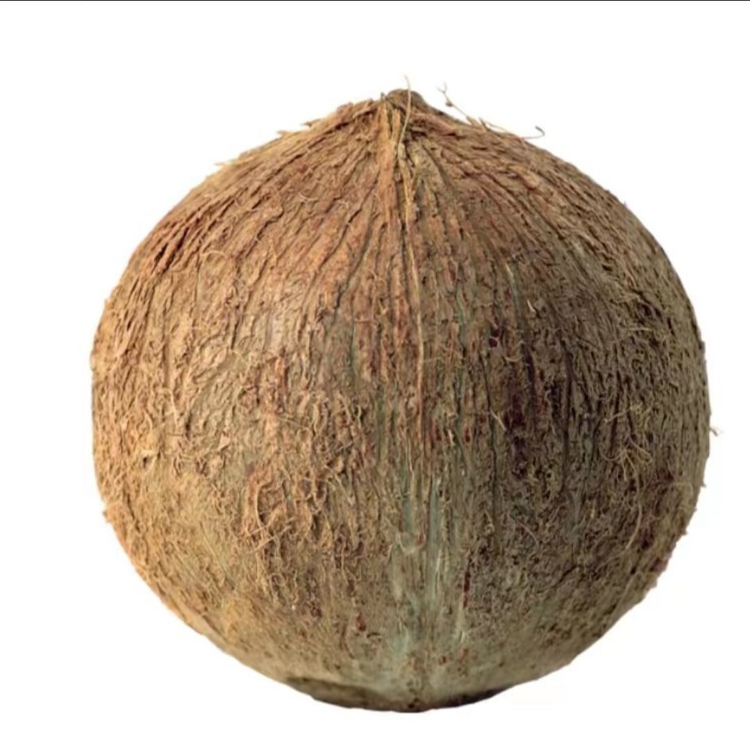 qq_coconut14