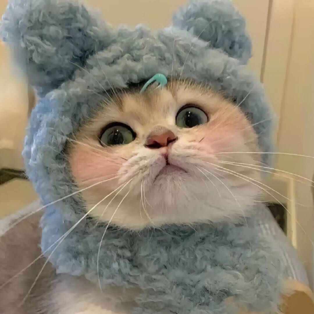 qq_⁰³⁰⁴号花店46