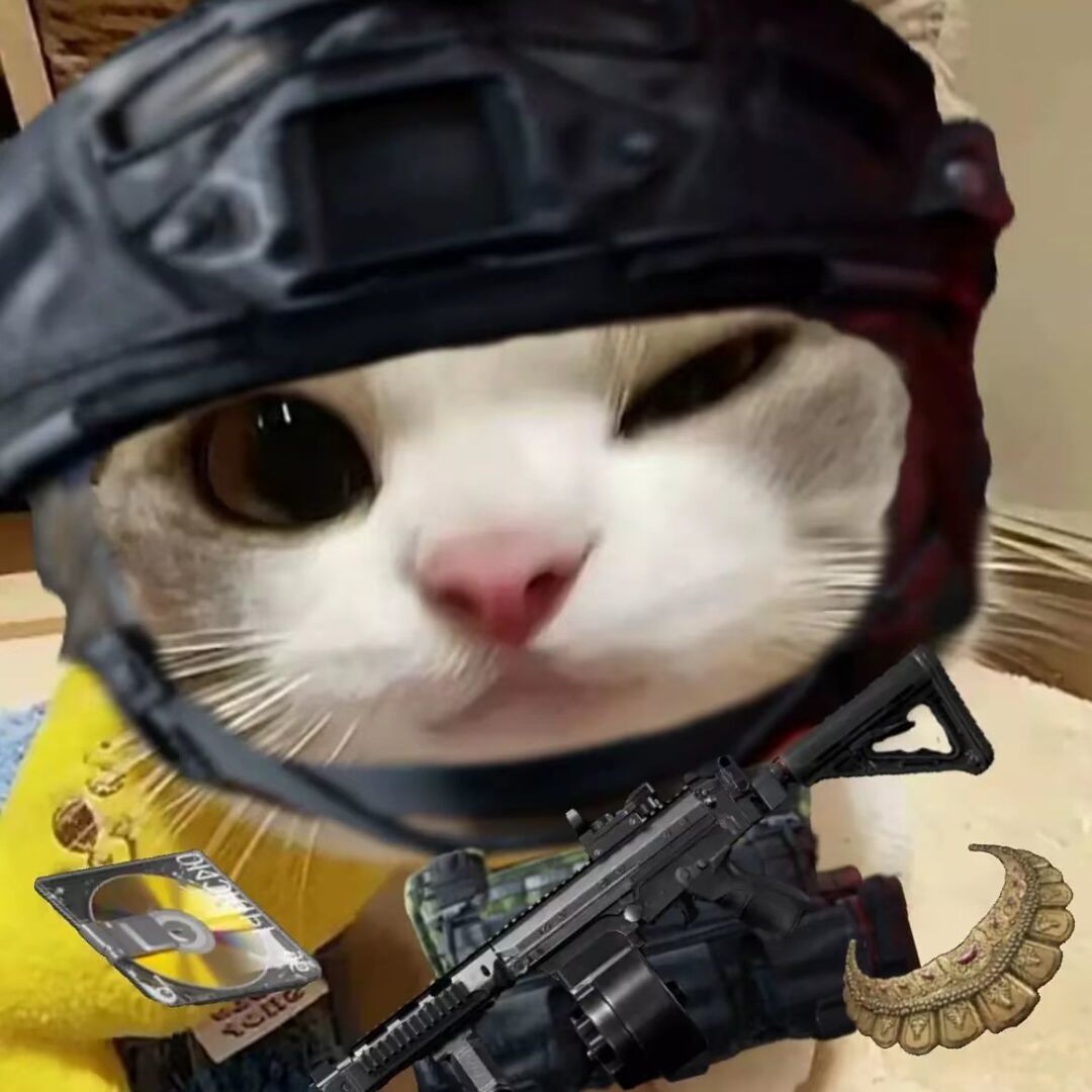 qq_nn31