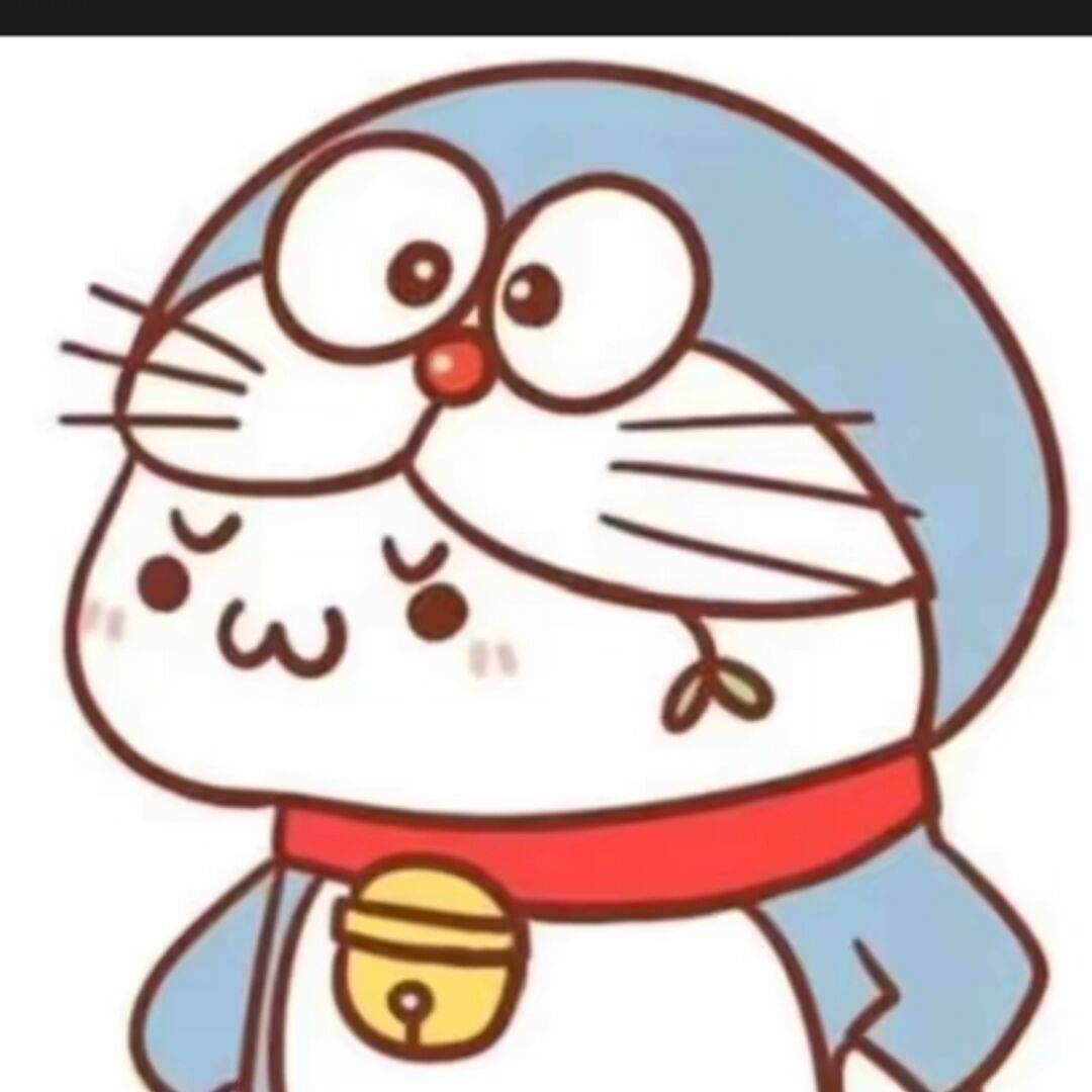 qq_一剑下天山55