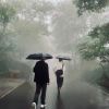 郝晓琳-【TITAIKE】T太科网