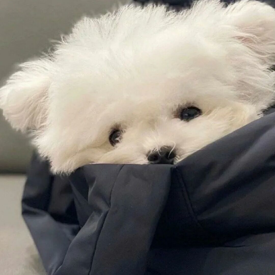 qq_kmktptm18