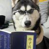 江上雾遮月-【TITAIKE】T太科网