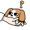 煌煌-【TITAIKE】T太科网