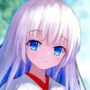鸟白岛的夏鸟-【TITAIKE】T太科网