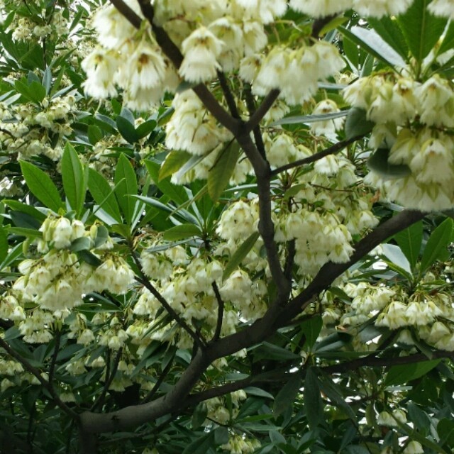 qq_高明在线70