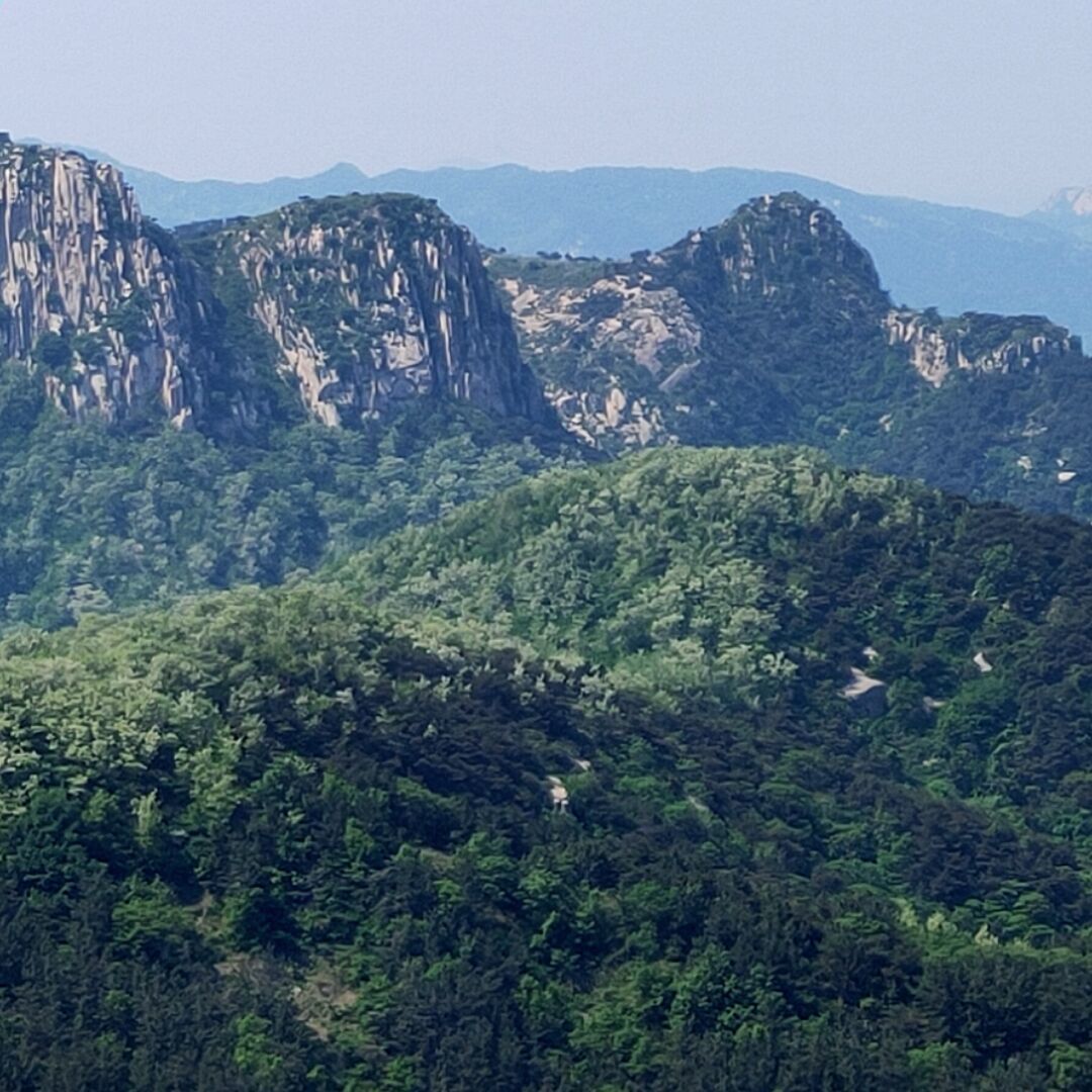 qq_回头是岸80