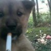 我嗯啊请问-【TITAIKE】T太科网