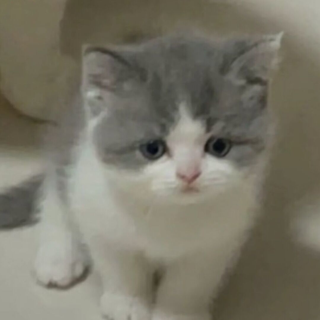 qq_浅笑安然91
