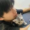 山阁-【TITAIKE】T太科网
