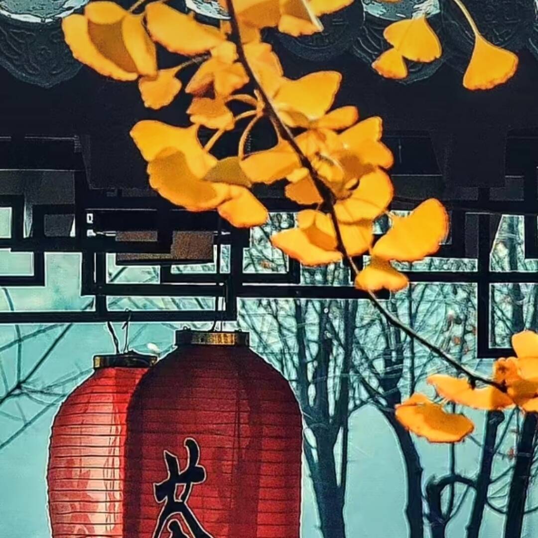 qq_易子橋27