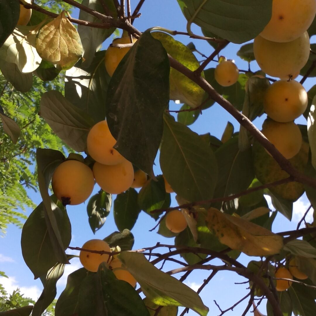 qq_小伙子15