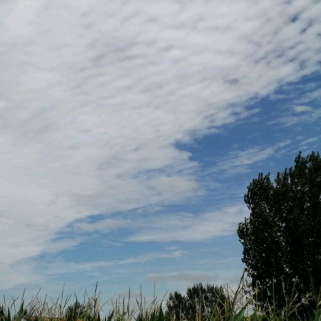 你是谁的谁