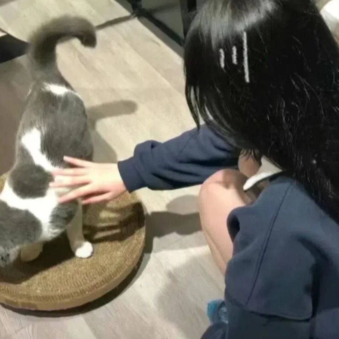 qq_。81