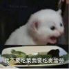 罗正阳-【TITAIKE】T太科网