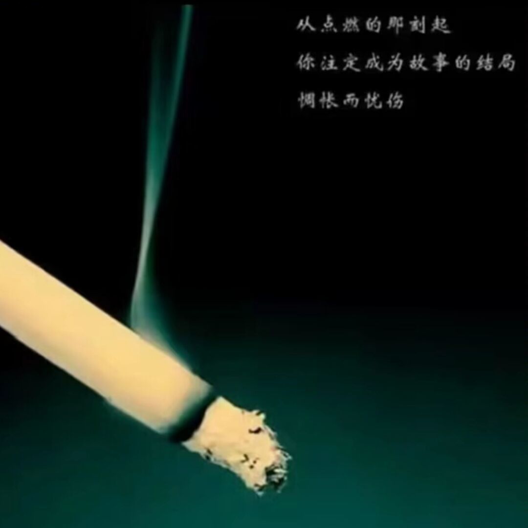 qq_比38
