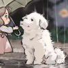 黄花菜狗 - 极核GetShell