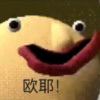 最有智慧的舰长-【TITAIKE】T太科网
