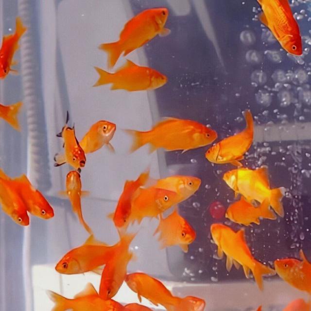 qq_鋶銗81