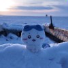 KevinScenery-【TITAIKE】T太科网