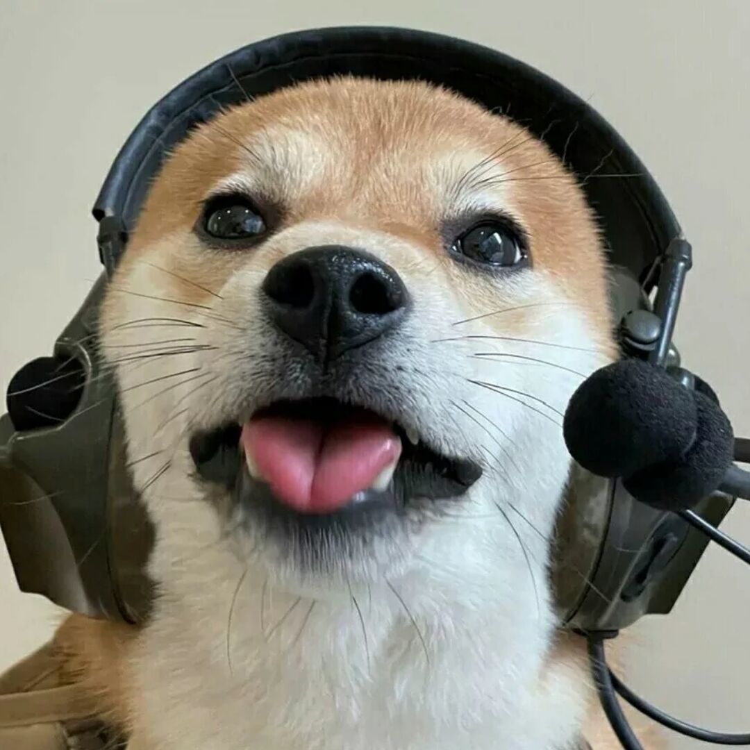 qq_　87