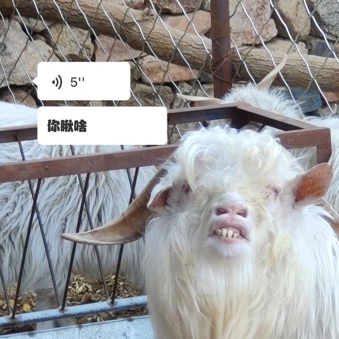 qq_小娄31