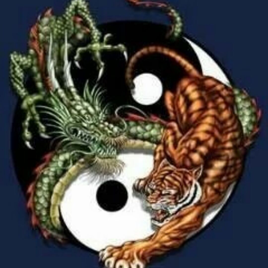 qq_孤独的狼王38