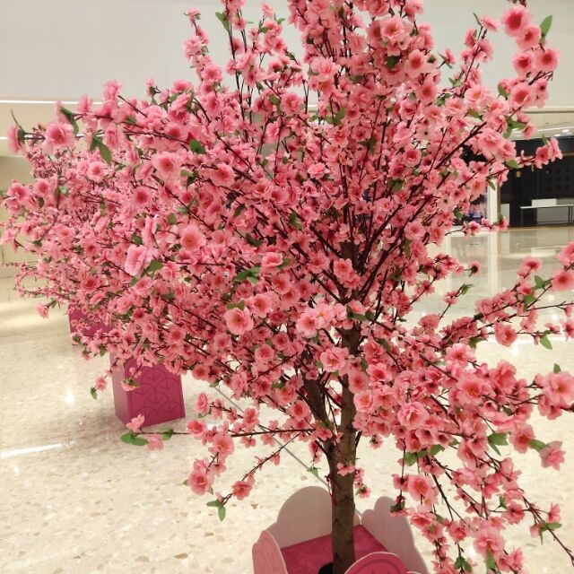 qq_　✎﹏ℳ๓₯㎕枫哥12