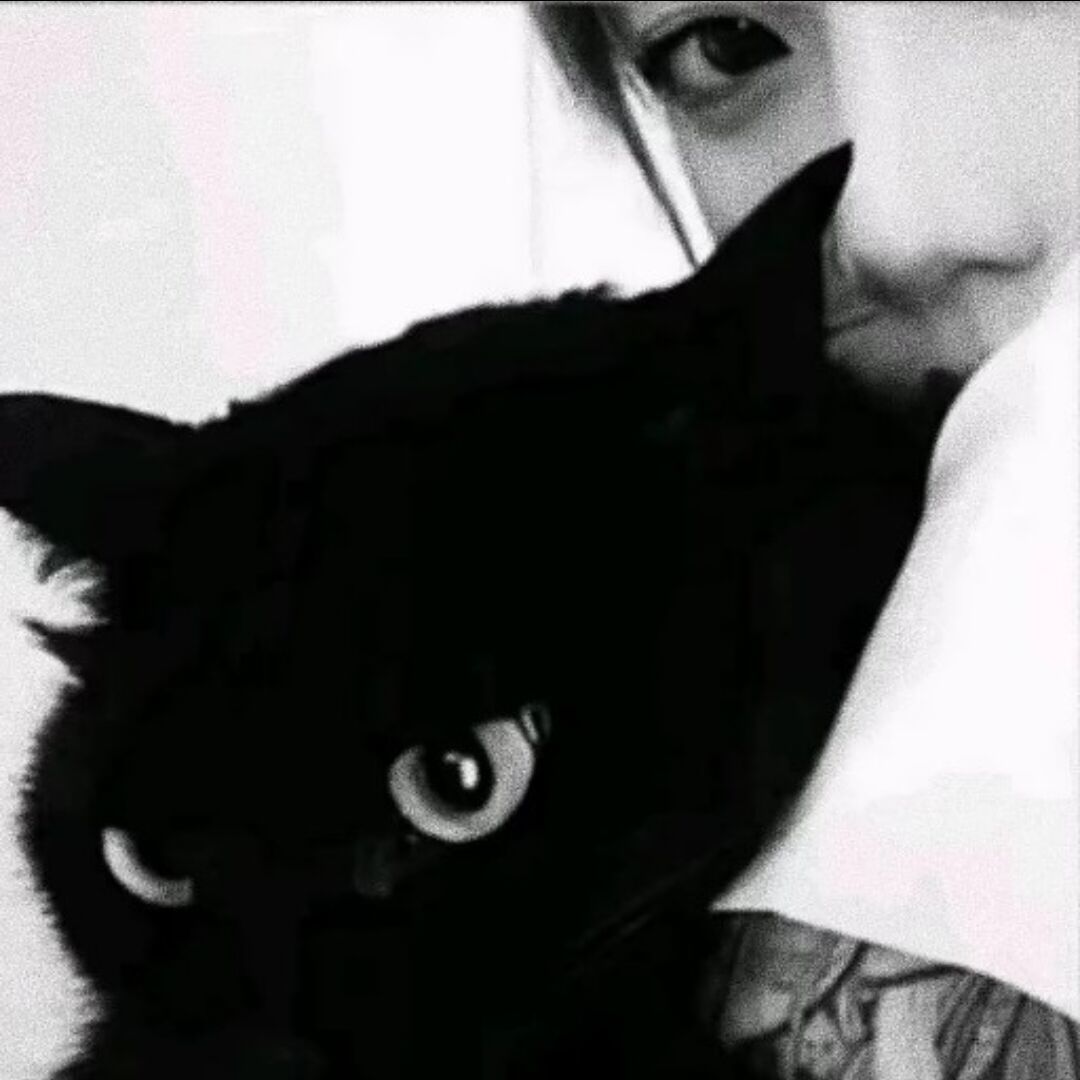 qq_Vc.97