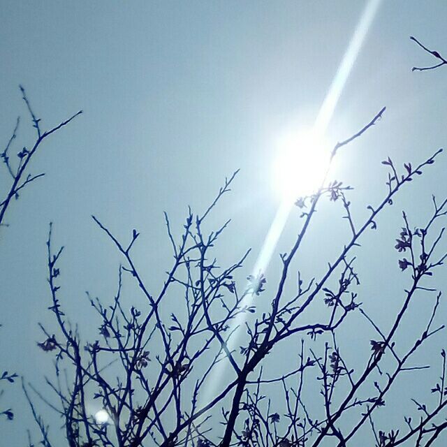 qq_宋........41
