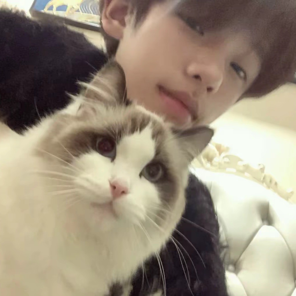 qq_沈煜^13