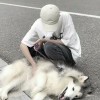Mzl0517-KK音频资源网
