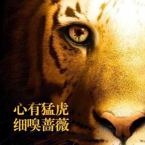 剑胆琴心