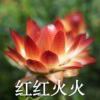 yian-【TITAIKE】T太科网