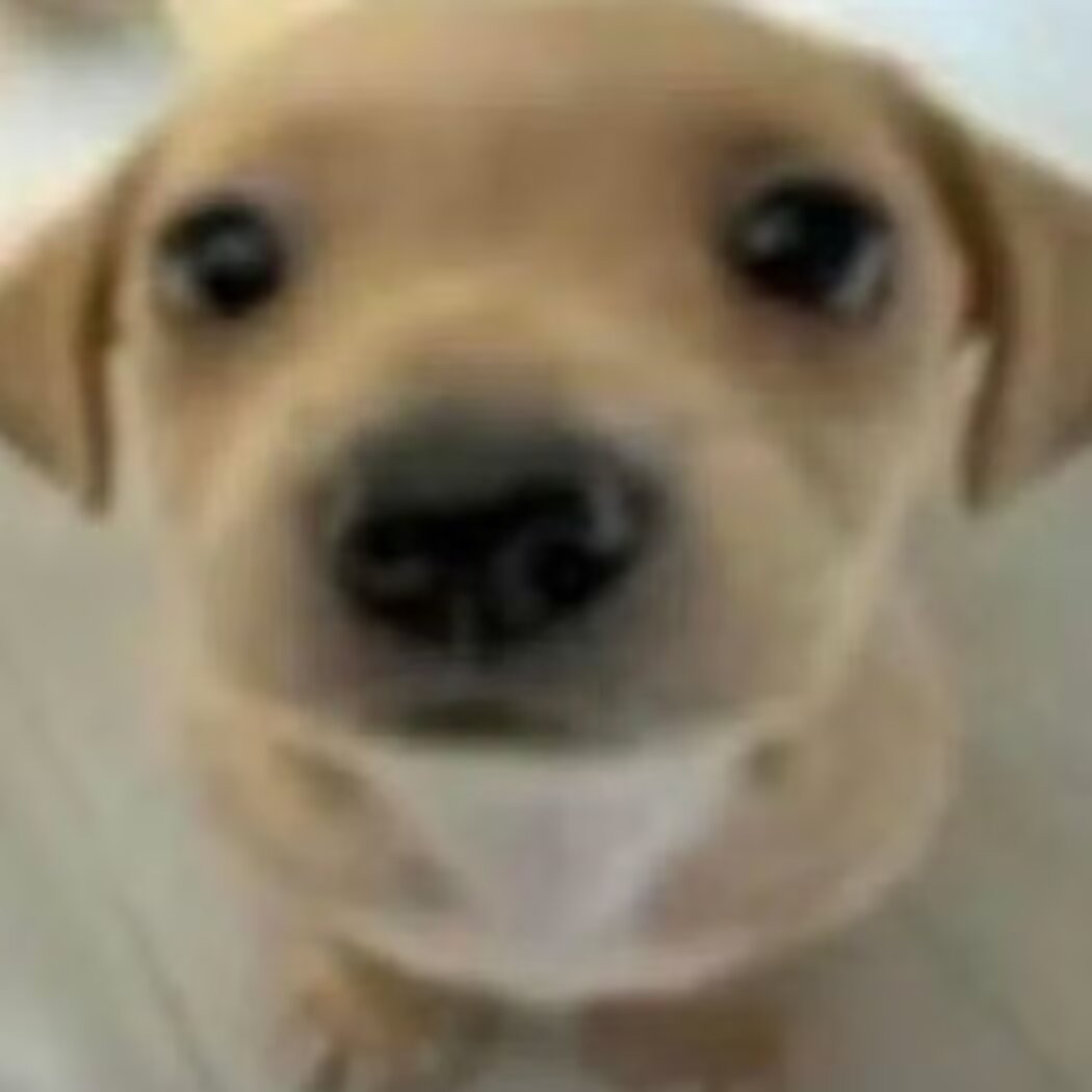 人类不能像流星一样坠落