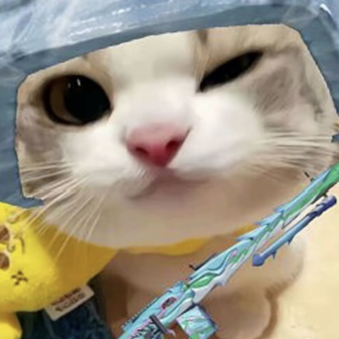 qq_晚☞艺68